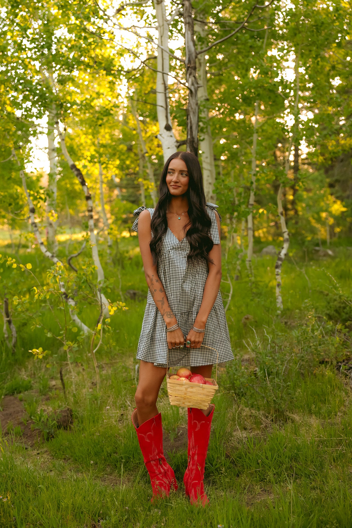 Sweet Prairie Gingham Dress
