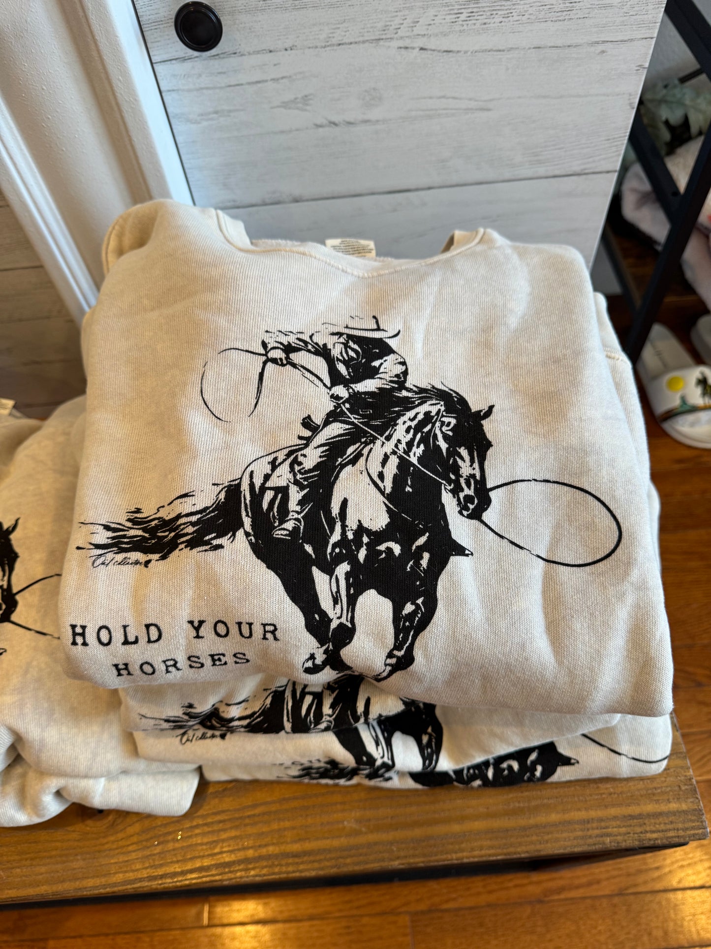 HOLD YOUR HORSES Mineral Graphic Crewneck
