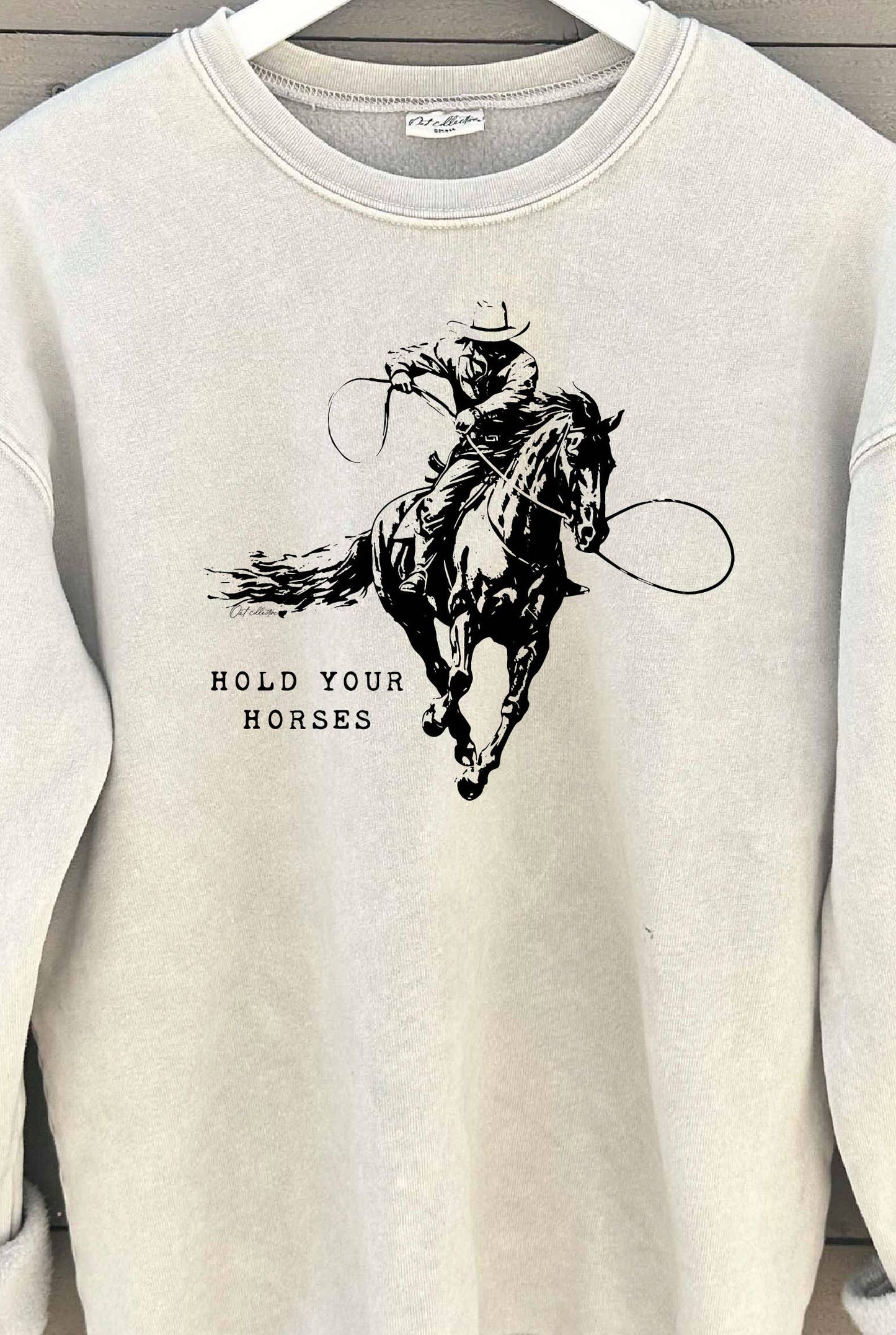 HOLD YOUR HORSES Mineral Graphic Crewneck